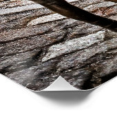 Poster Fille sans peur face à la rampaging Bull (Coin)