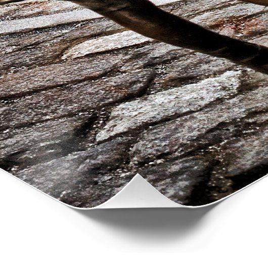 Poster Fille sans peur face à la rampaging Bull (Coin)