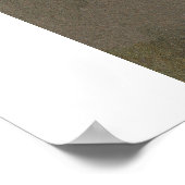 Poster Fille Zegfeld (Coin)