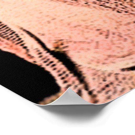 Poster Fille Ziegfeld (Coin)