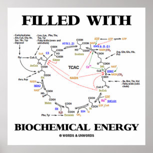 Poster Filled with Biochemical Energy (Krebs Cycle)