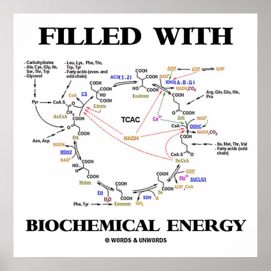 Poster Filled with Biochemical Energy (Krebs Cycle) (Devant)