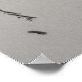 Poster Filles (Coin)