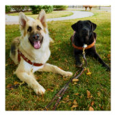 Poster Filles de travail (Devant)