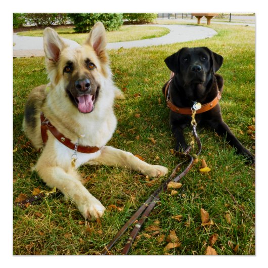 Poster Filles de travail (Devant)
