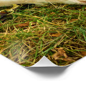 Poster Filles de travail (Coin)