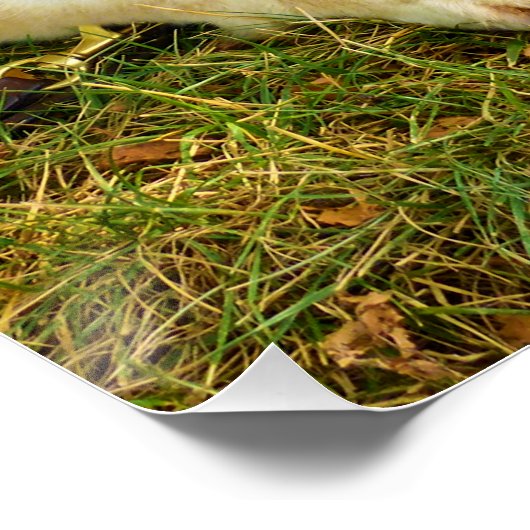 Poster Filles de travail (Coin)