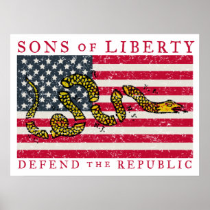 Poster Fils d'affiche de liberté