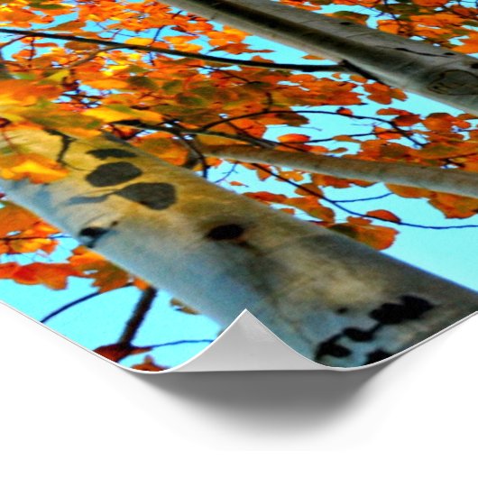 Poster Fin automne après-midi (Coin)