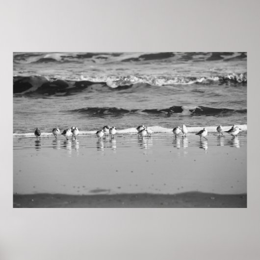 Poster Fin de la ligne (Devant)