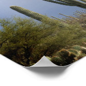 Poster Fin de l'après-midi dans le désert (Coin)