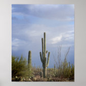 Poster Fin de l'après-midi dans le désert (Devant)