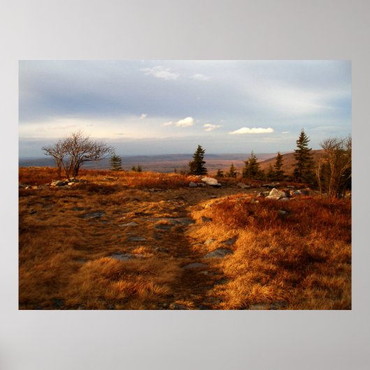 Poster Fin de l'après-midi sur les Sods (Devant)