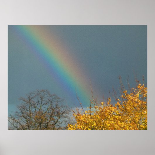 Poster Fin de l'arc-en-ciel (Devant)