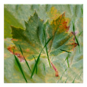 Poster Fin de l'automne (Devant)