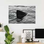 Poster Fin de requin (Bureau à domicile)