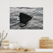 Poster Fin de requin (Cuisine)