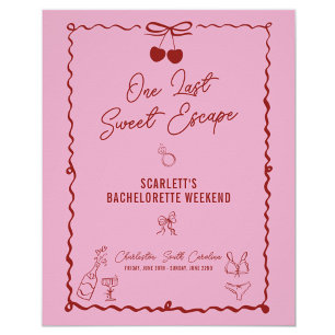 Poster Fin de semaine de la soirée de bachelorette rose e