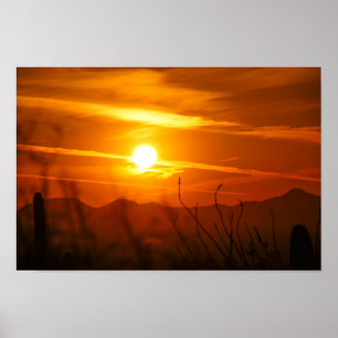 Poster Fin des déserts