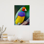 Poster Finale gouldienne colorée (Cuisine)