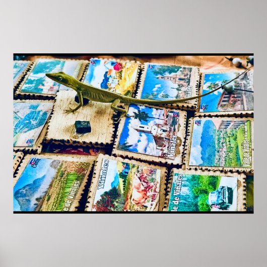 Poster Finca Macondo Cafe Gecko (Devant)