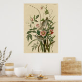 Poster Finch côté mer (Cuisine)