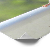 Poster Finch dans le soleil du matin. (Coin)