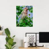 Poster Finch de la maison à tête rouge (Bureau à domicile)