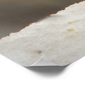 Poster Finch Maison (Coin)