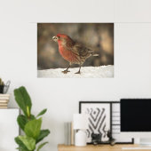 Poster Finch Maison (Bureau à domicile)