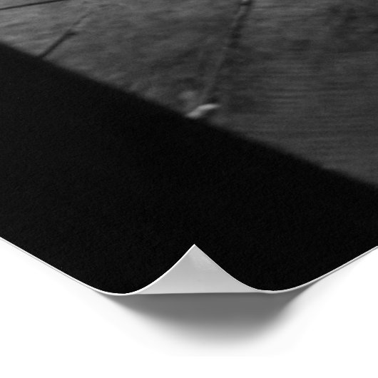 Poster Find the Cat! (Coin)