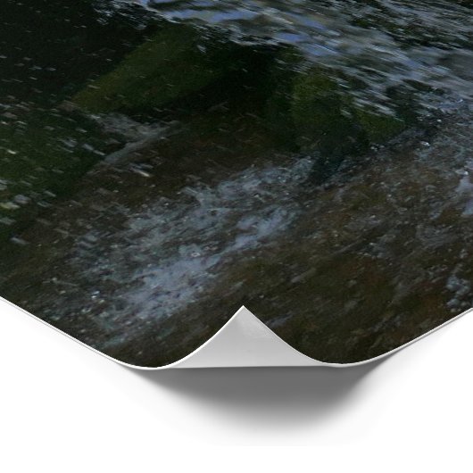 Poster Findlay Falls I (Coin)