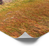 Poster Finlaggan, Écosse (Coin)