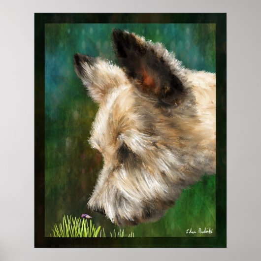 Poster Finn (Devant)