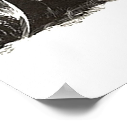 Poster Finn Finn Sisu Tenacity Tough Plow On (Coin)