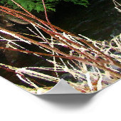 Poster Fir Trees & Pont de ruisseaux Ephésiens 2:8,9 Impr (Coin)