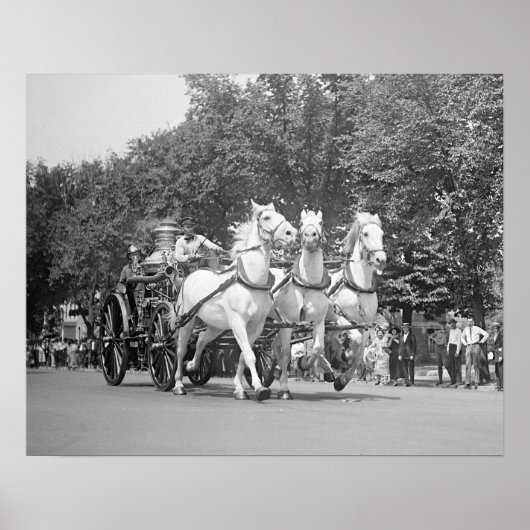 Poster Fire Department Horses, 1925. Photo vintage (Devant)