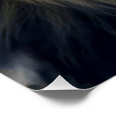 Poster Fire Eyes of the Jungle King (Coin)