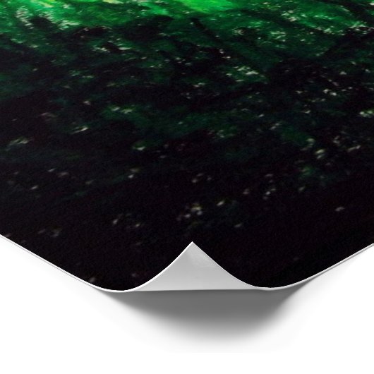 Poster Firefleur (Coin)