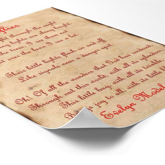 Poster Fireflies (Coin)