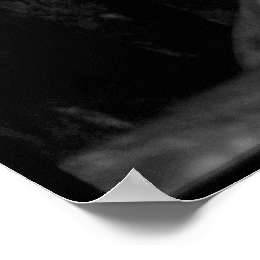 Poster Firenze (Coin)