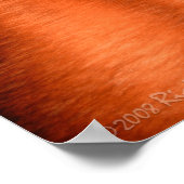 Poster Fireworks Sydney Opera House Idol (Coin)