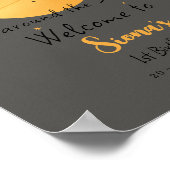 Poster First Trip Around The Sun Paper Airplane Birthday (Coin)