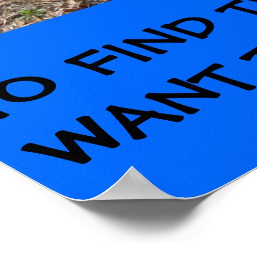 POSTER FISH KISS (Coin)