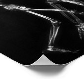 Poster Fish Tank BKRD X-Ray Skeletons Midnight Stroll B&W (Coin)