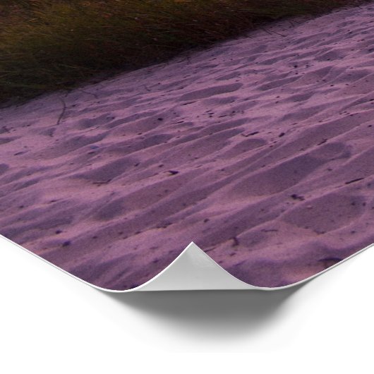 Poster Fisherman's Island State Park, Michigan (Coin)