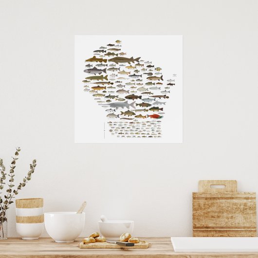 Poster Fishes of Wisconsin (Cuisine)