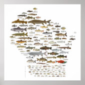 Poster Fishes of Wisconsin (Devant)