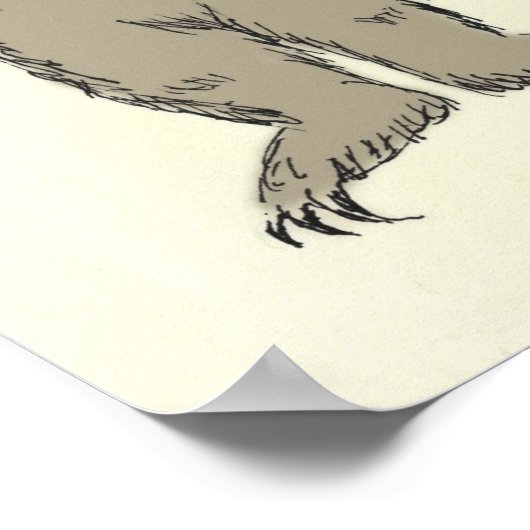 Poster fissure (Coin)