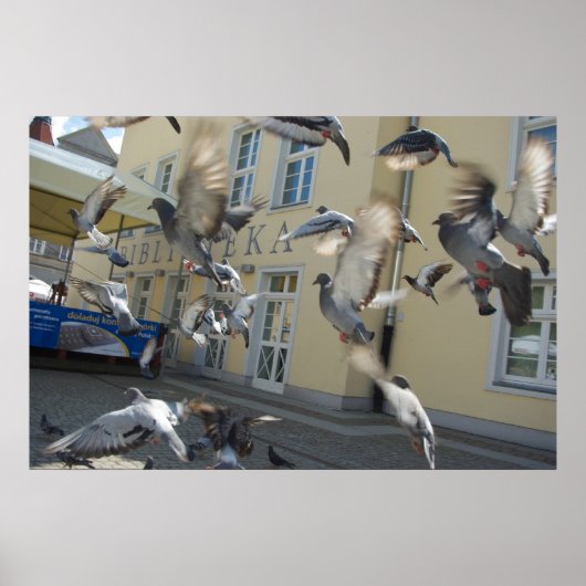 Poster Fissure (Devant)